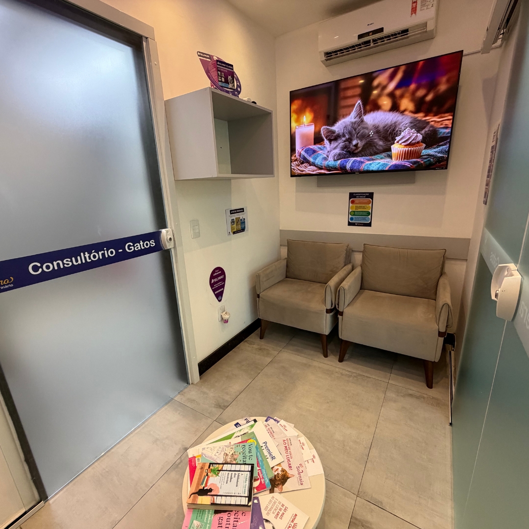 Sala de espera exclusiva para gatos do Hospital Veterinário Amparo