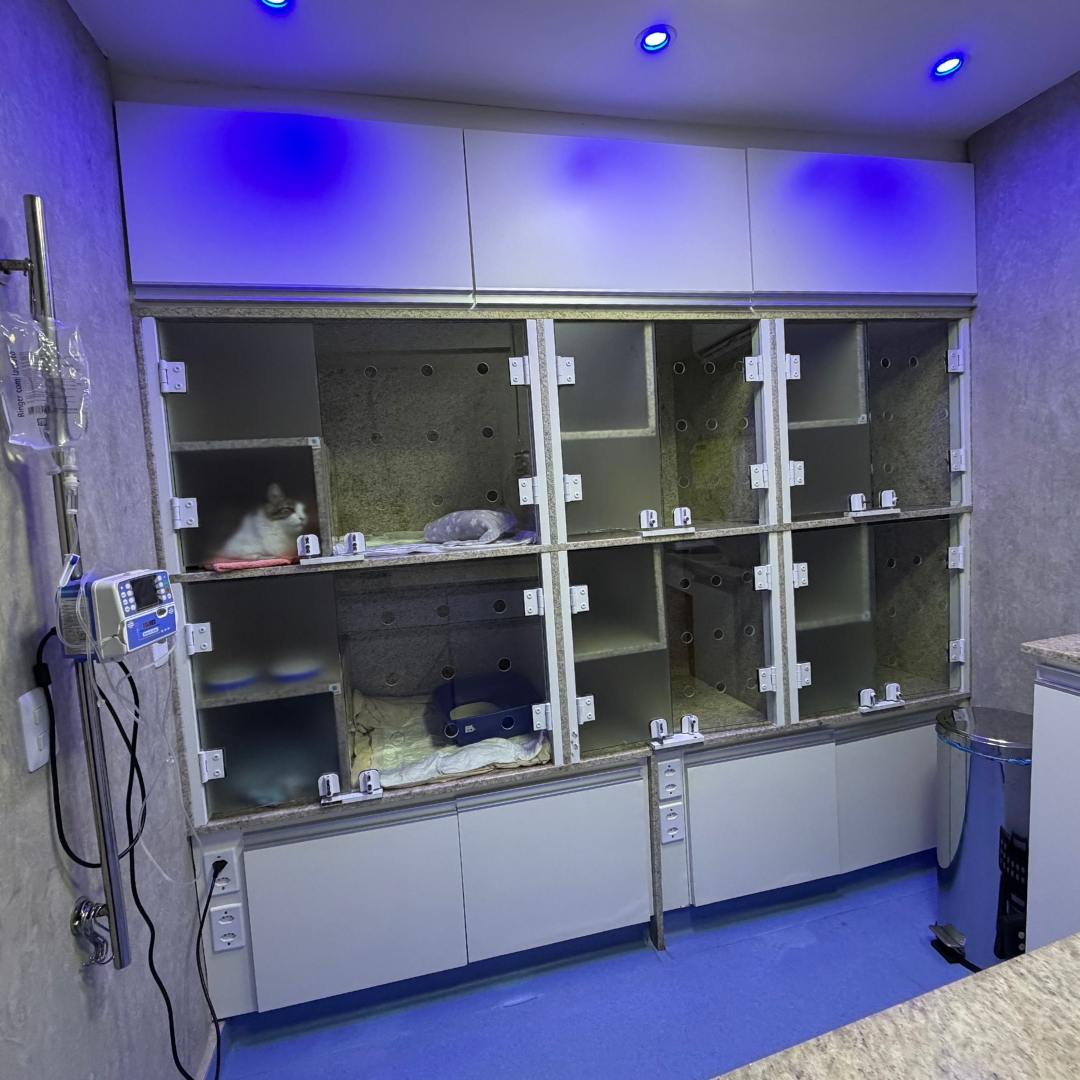 Sala de internação individual para gatos do Hospital Veterinário Amparo